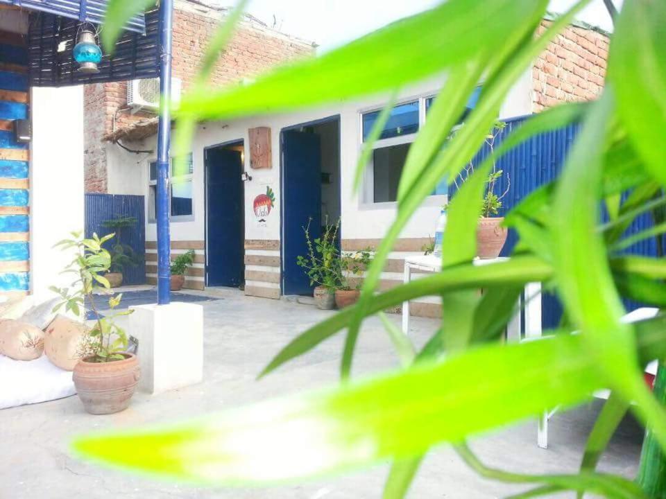 Eco Family Hostel Jaipur Eksteriør billede